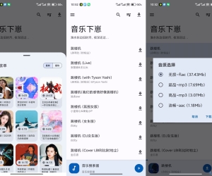 【音乐下崽】520 无损音乐免费下载